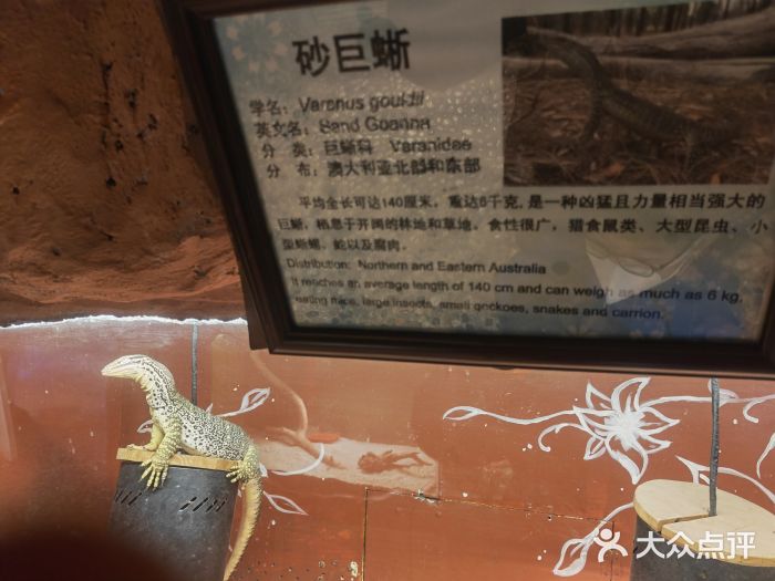 上海大自然野生昆虫馆景点图片