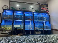 -金龙·打边炉(武进路店)