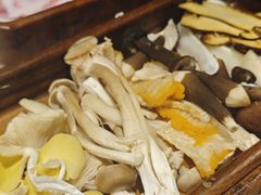 野生菌四拼-菌小白火锅(时尚天河店)