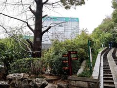 -白沙古井