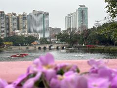 -荔湾湖公园