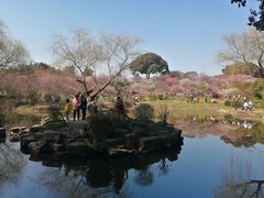 -无锡梅园公园