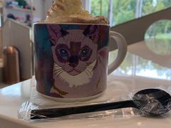 -飞行喵MR PILOT|猫舍·猫咖(静安大融城店)