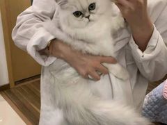 -萌兽医馆·眼科·异宠专科(三里屯店)