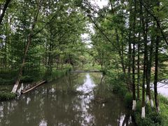 -桤木河湿地公园