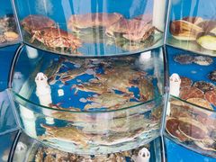 -东戴河风景区-止锚湾