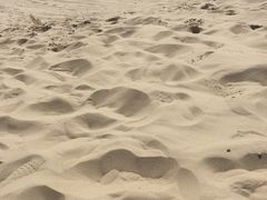 -库伦旗银沙湾旅游景区