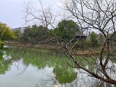 -八大山人梅湖景区