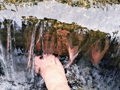 -北岭山森林公园