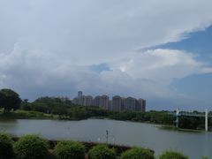 -东莞植物园