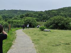 -龙寺生态园