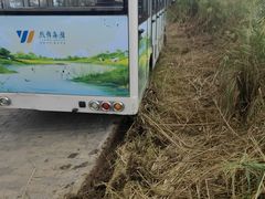 -盐城丹顶鹤湿地生态旅游区