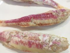 -长平老姿娘夜粥(平东一街店)