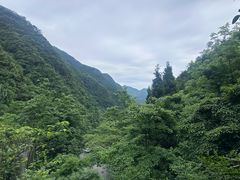 -娄山关景区