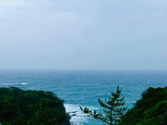 -南紀白浜 浜千鳥の湯 海舟