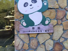 -宁波野生动物园