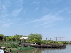 -天津东丽湖风景区