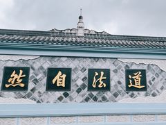 -青羊宫