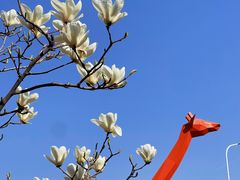 -北运河水利风景区