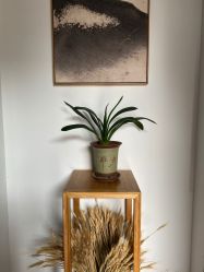 -云上瑜伽·普拉提·维密馆