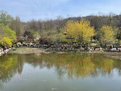 -大连植物园