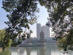 -宝岛公园