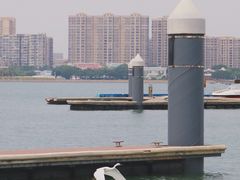 -五缘湾游艇帆船俱乐部