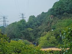 -巴倒烫陆派重庆火锅(南山店)