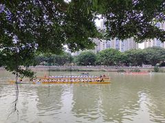 -光明港公园