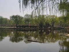 -石家庄市植物园