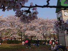 -帝京日语(春熙路旗舰校区)