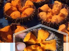 -斯普汇生蚝牛排馆(中骏世界城店)