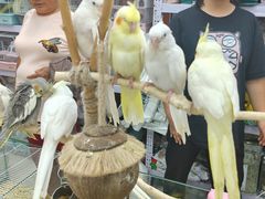 -三旗百汇商品城