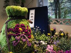 -杭州植物园