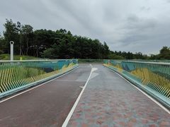 -白鹭湾湿地公园