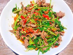 香菜炒牛肉-壹盏灯(惠农店)