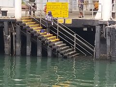 -新码头街九龙城渡轮码头(轮渡站)