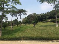 -玉树公园