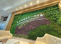 -玛丽亚妇产医院