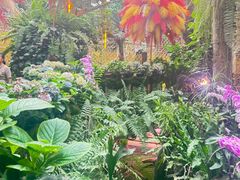 -正佳雨林生态植物园