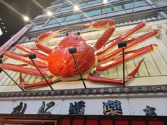 -蟹道乐(道顿堀本店)