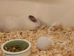 -龙猫仔乐园(惠福东路店)