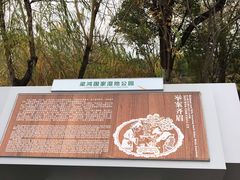 -梁鸿国家湿地公园