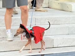 -华谊兄弟（长沙）电影小镇