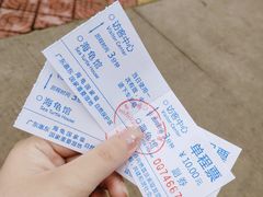 -广东惠东海龟国家级自然保护区