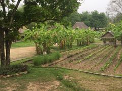 -大象粑粑造纸公园