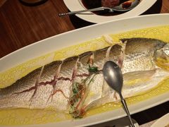 -苏帮袁Sue Cuisine(将台店)