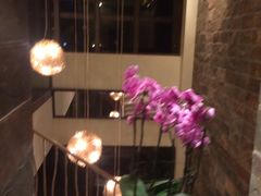 -东方大班·足道·采耳·疗愈SPA(丽都店)