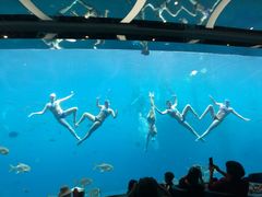 -瑞德姆美人鱼海底演艺主题餐厅(亚龙湾店)