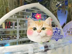 -广州热雪奇迹